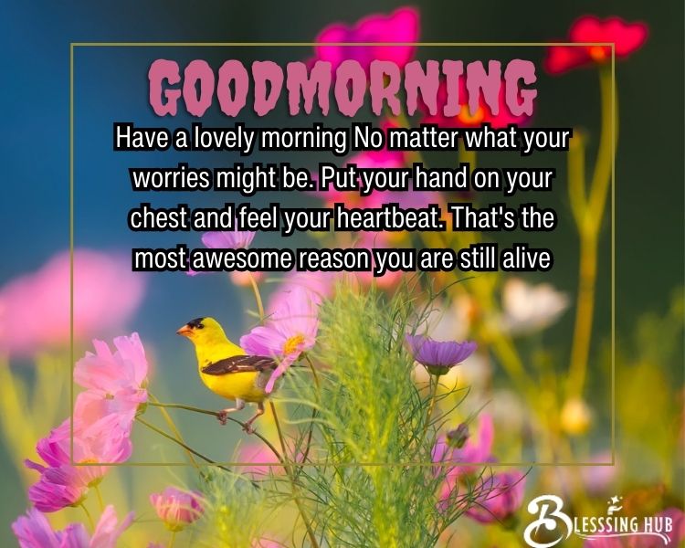 Monday morning blessings Have a lovely morning No matter what your worries might be. Put your hand on your chest and feel your heartbeat. That's the most awesome reason you are still alive