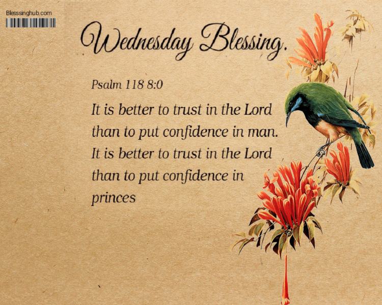 An image for Wednesday blessings which express It is better to trust in the Lord than to put confidence in man or princes.