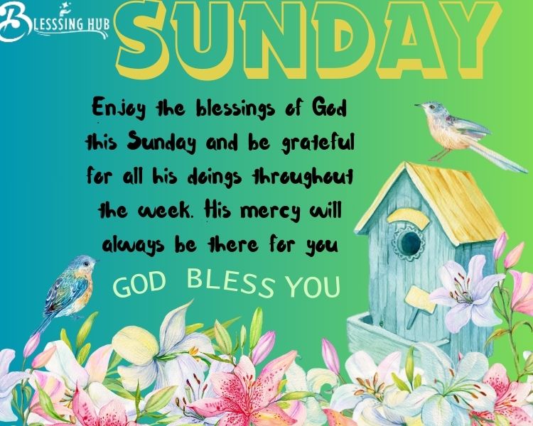 Enjoy God's blessings this Sunday and be thankful for everything He did during the week.