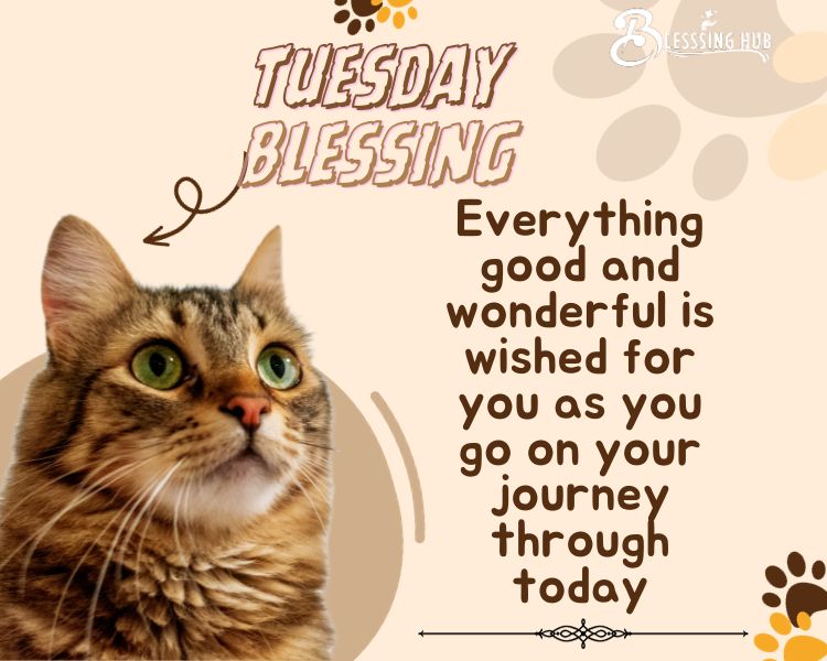 Tuesday blessings