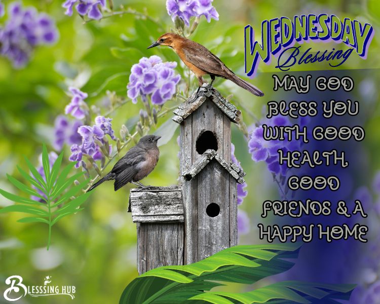 blessings for Wednesday may god bless you with good health, good friends & a happy home.