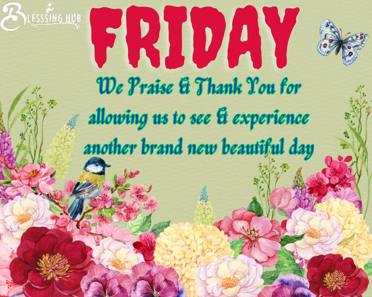 Friday blessings We praise and thank you for allowing us to see & experience another brand new beautiful day.