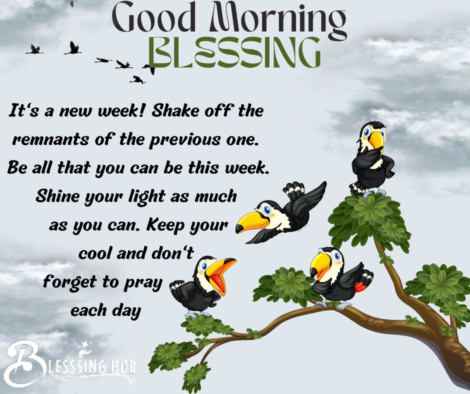 It's a new week! Shake off the remnants of the previous one. Be all that you can be this week. Shine your light as much as you can. Keep your cool and don't forget to pray each day.