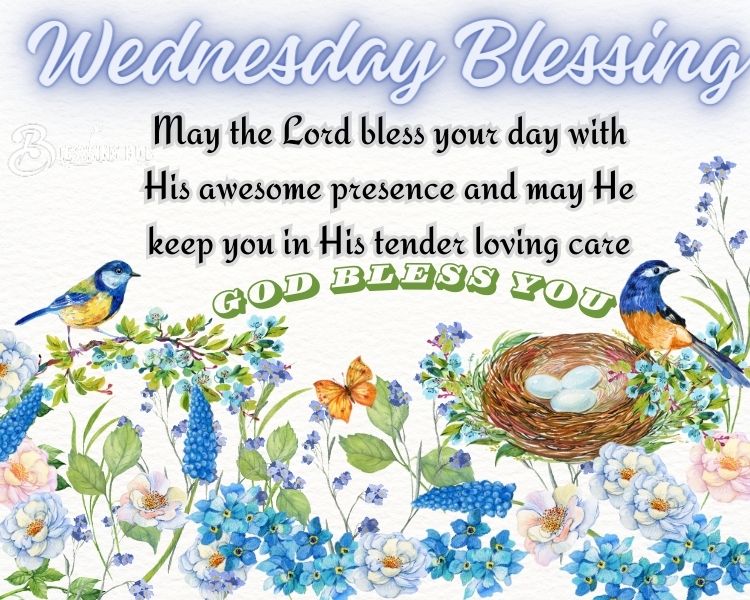 Wednesday blessings May the Lord bless your day with his awesome presence and may he keep you in his tender loving care.