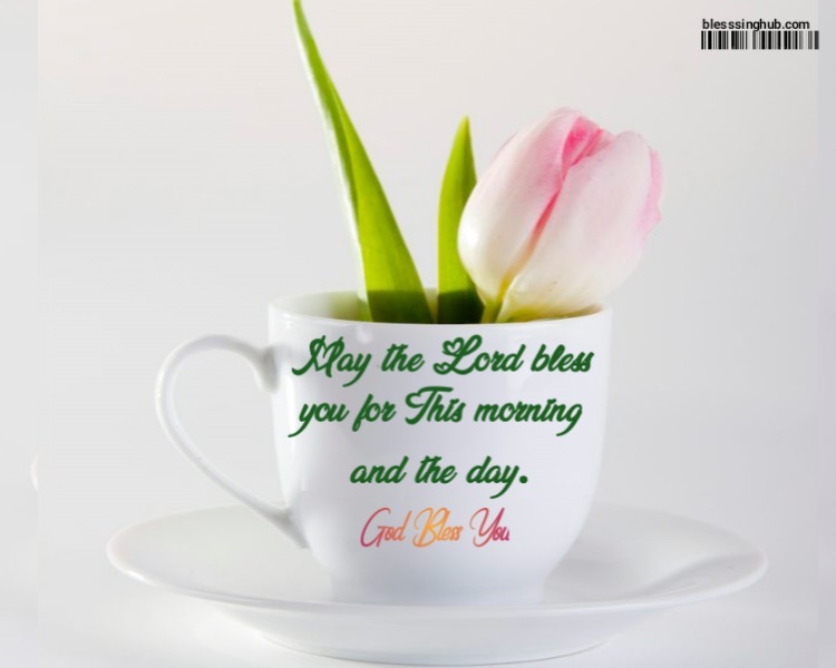 Good morning Friday Blessings