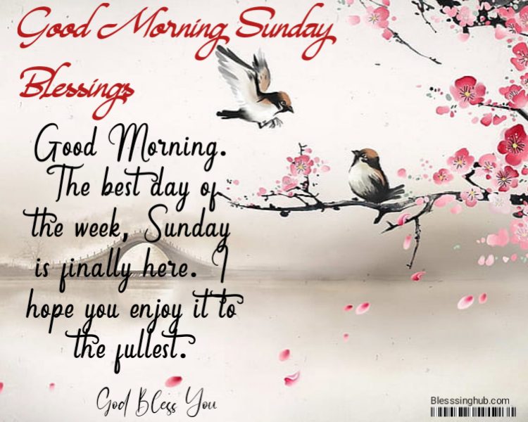 Good Morning, Sunday Blessings