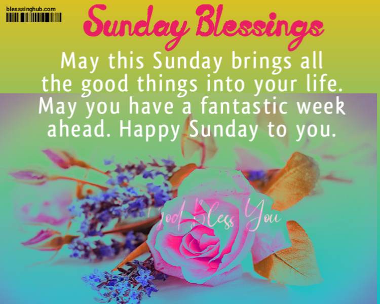 Sunday Blessings. May this Sunday brings all the good things into your life. May you have a fantastic week ahead. Happy Sunday to you.