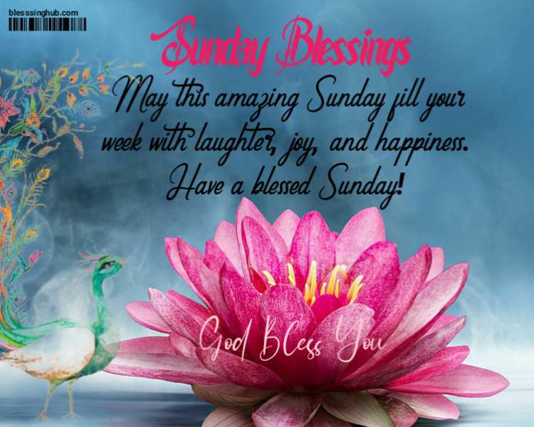 Blessings. May this amazing Sunday fill your world with laughter, joy, and happiness. Have a blessed Sunday.