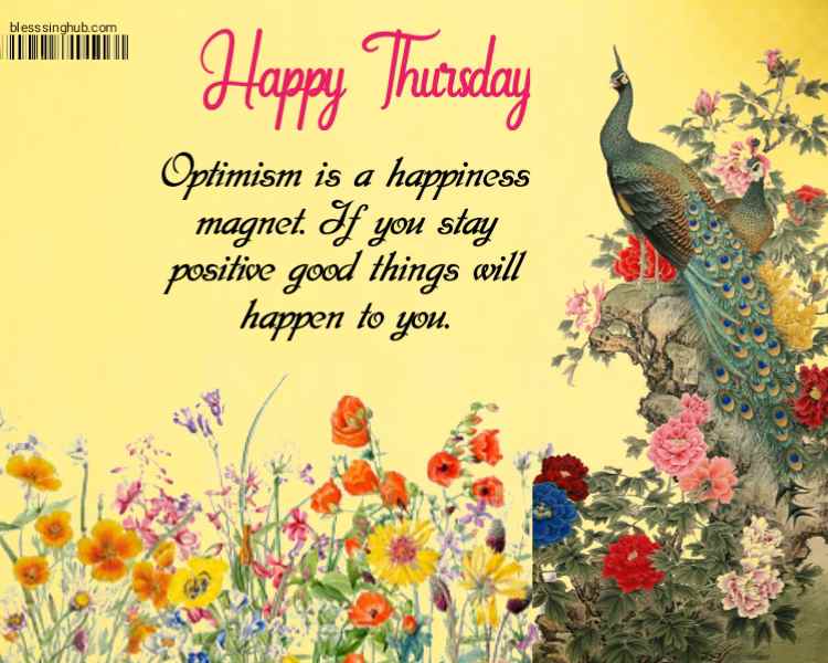 Optimism is a happiness magnet. If you stay positive good things will happen to you. have a happy Thursday