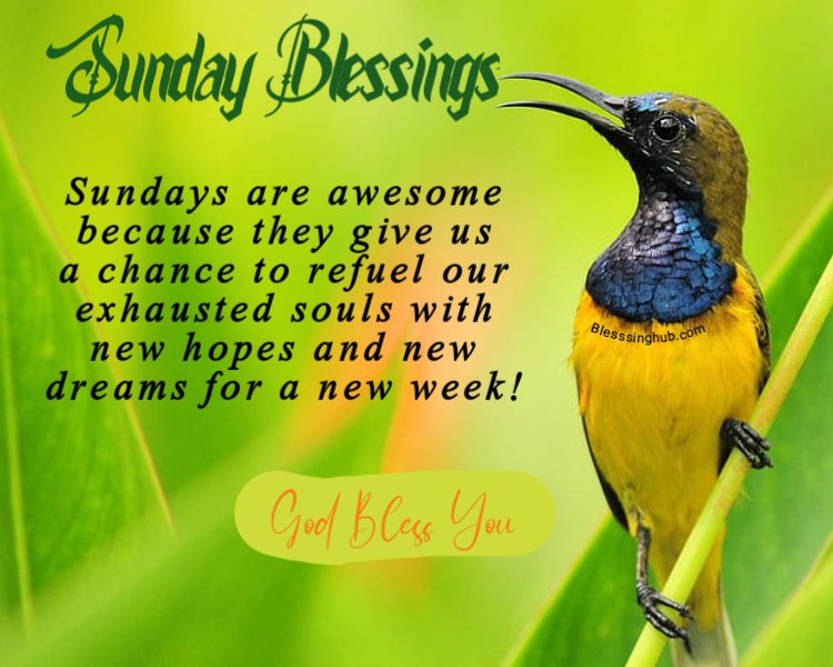 Sundays are awesome because they give us a chance to refuel our exhausted souls with new hopes and new dreams for a new week.