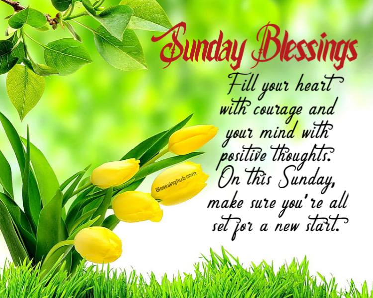 good morning Sunday blessings