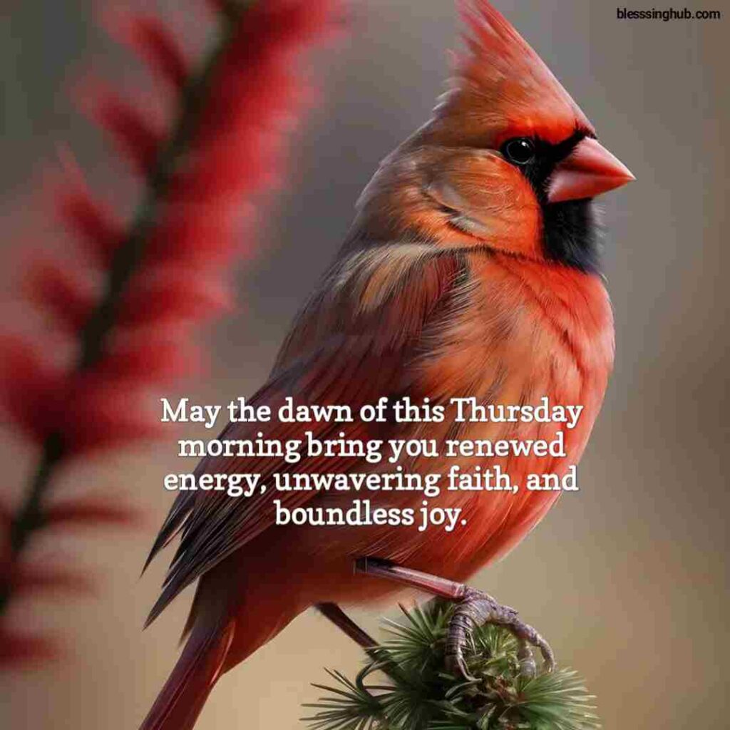 May the dawn of this Thursday morning bring you renewed energy, unwavering faith, and boundless joy.