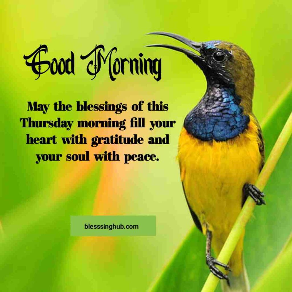 May the blessings of this Thursday morning fill your heart with gratitude and your soul with peace.