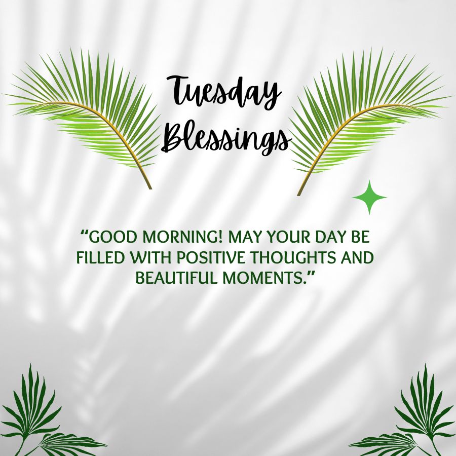 Good Morning Tuesday Blessings