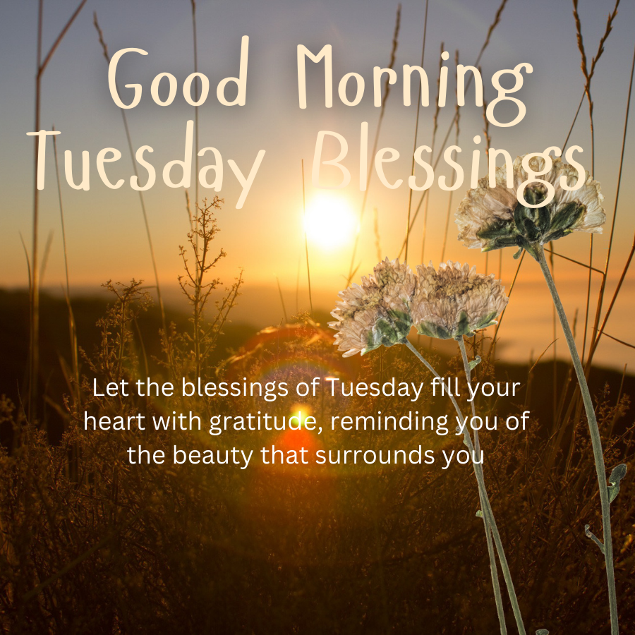 Good Morning Tuesday Blessings