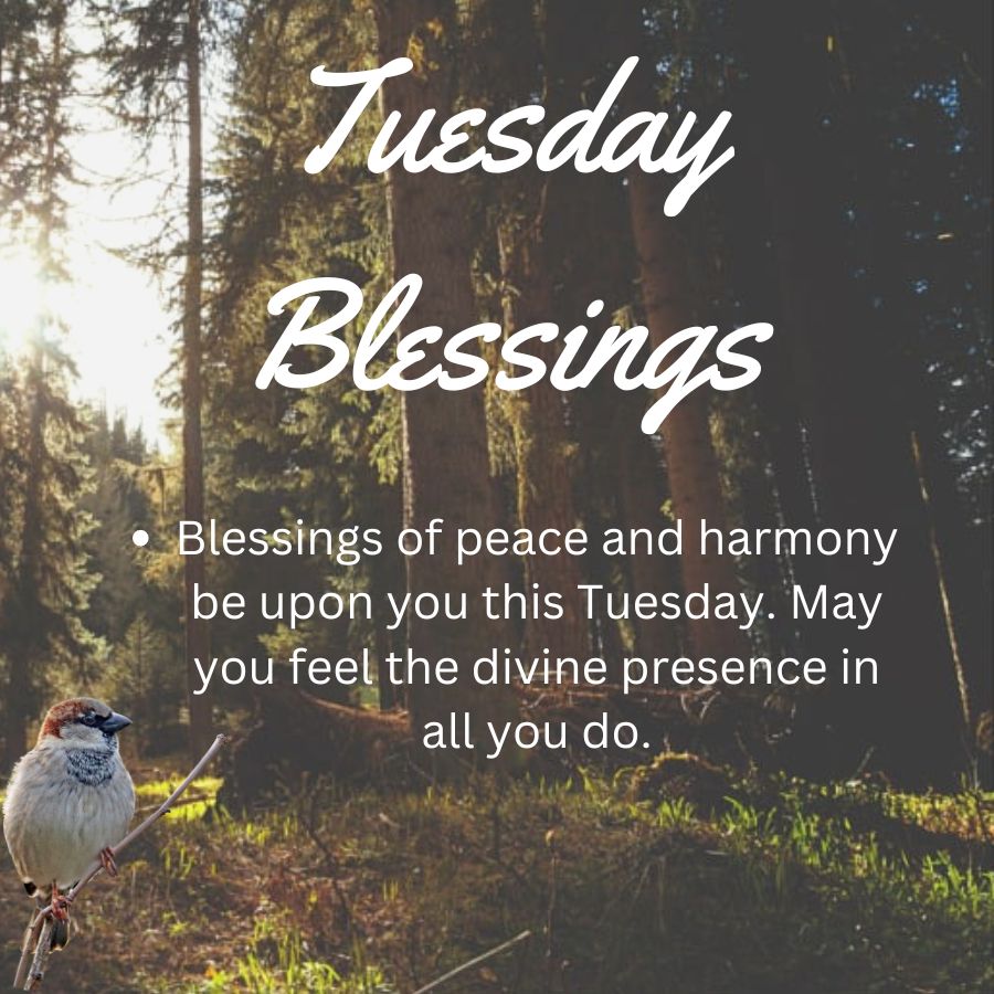 Good Morning Tuesday Blessings