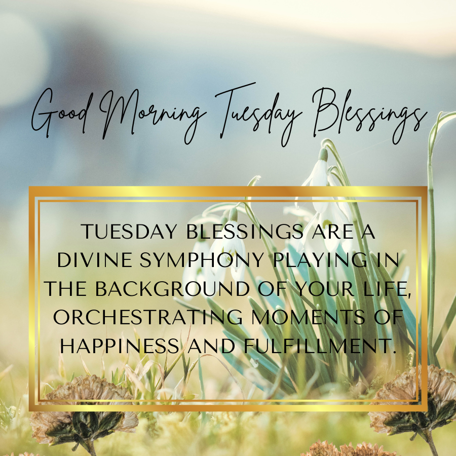 Good Morning Tuesday Blessings