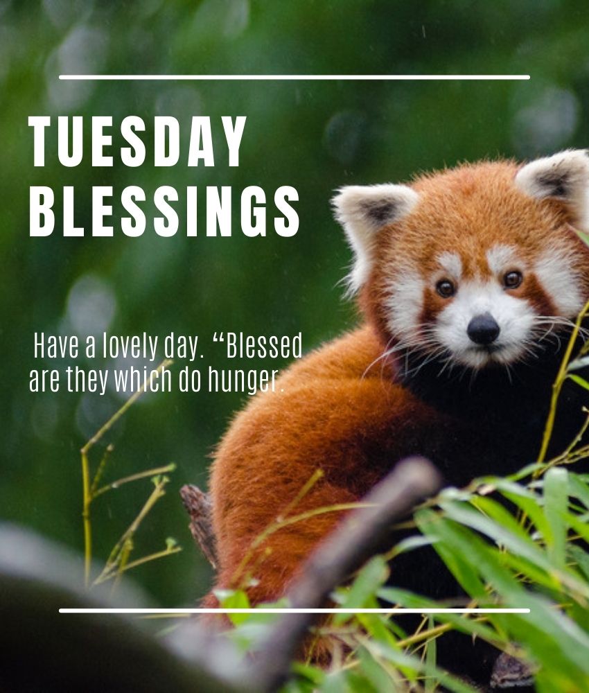 Tuesday Blessings