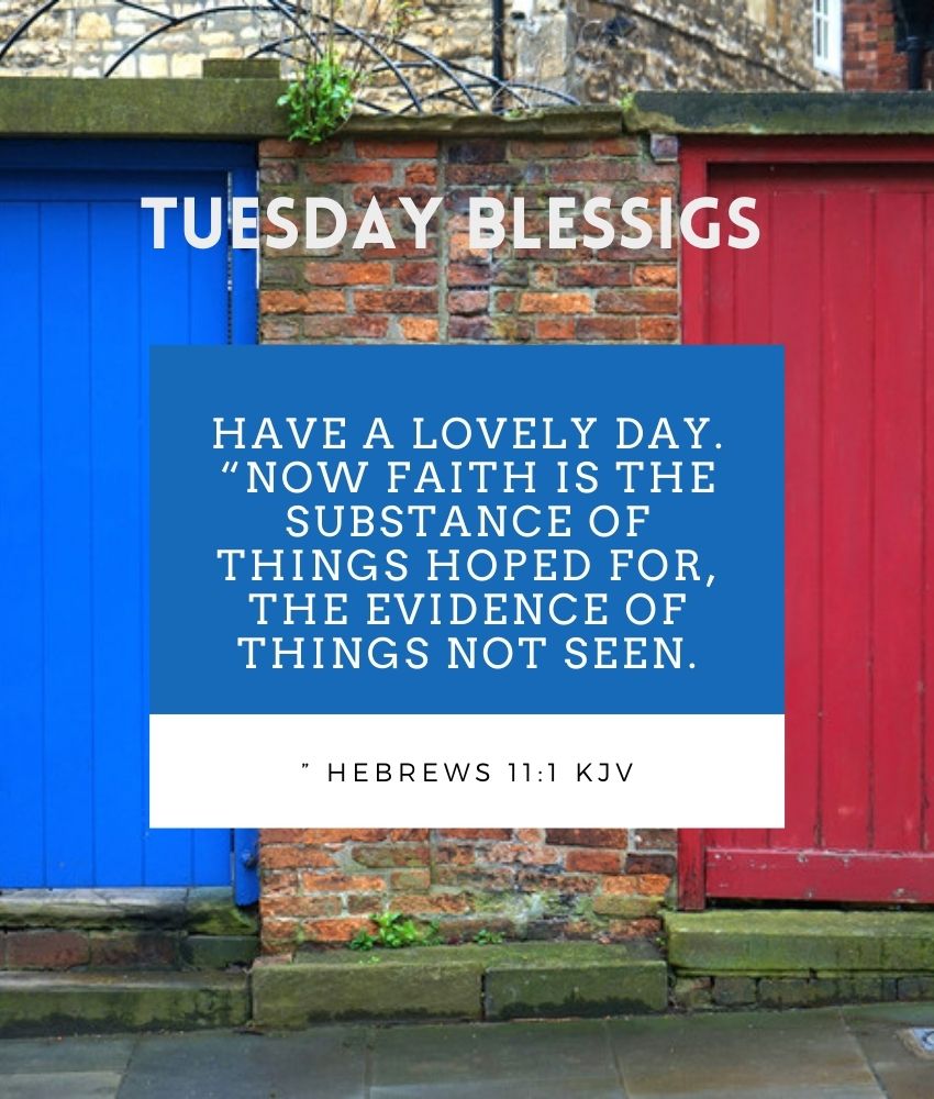 Tuesday Blessings