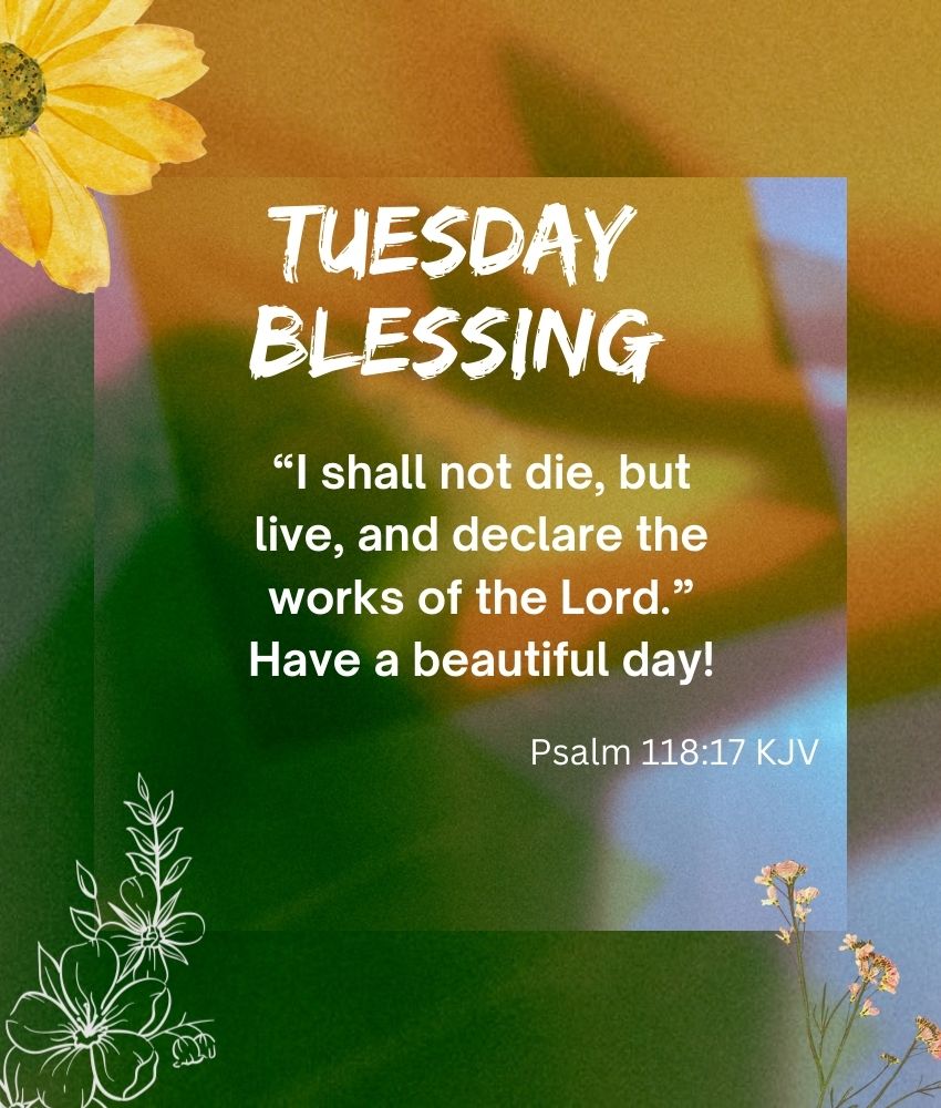 Tuesday Blessings