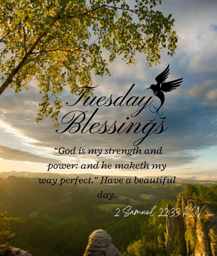 tuesday Blessings