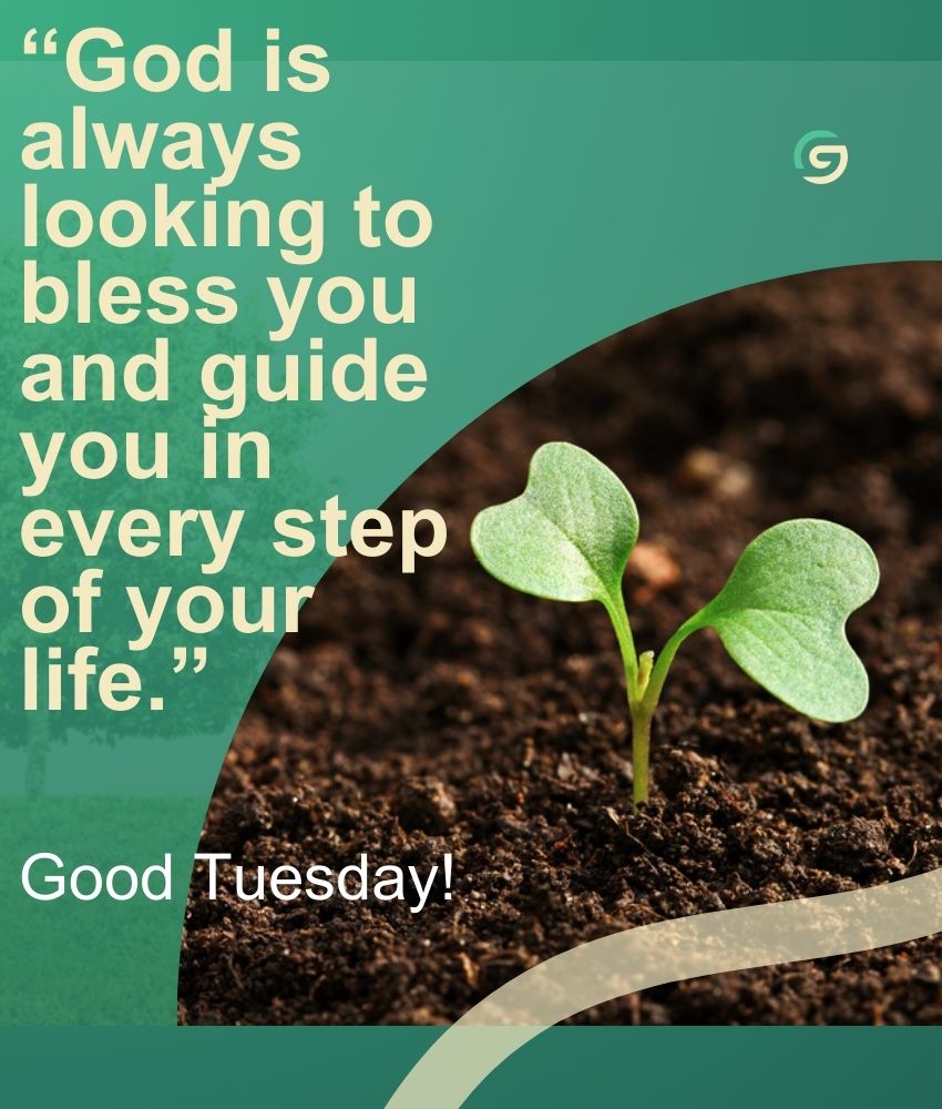 Tuesday Blessings