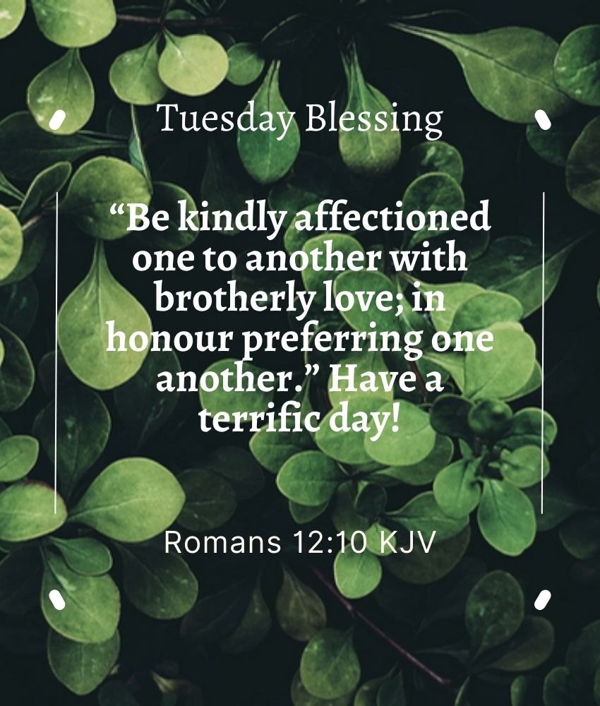 Tuesday Blessings