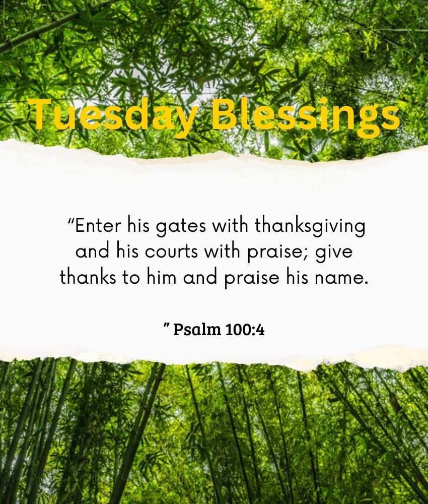 Tuesday Blessings