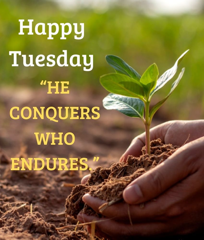 Tuesday Blessings