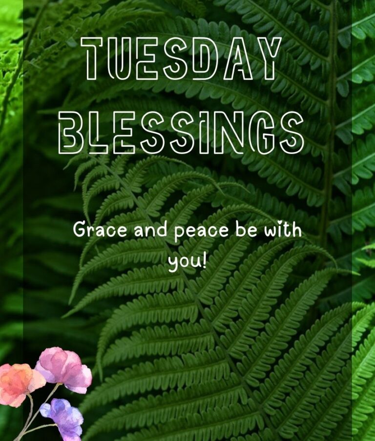 50+Tuesday Blessings Images and Prayers to Brighten Your Day