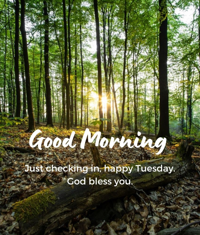 Good Morning Tuesday Blessings