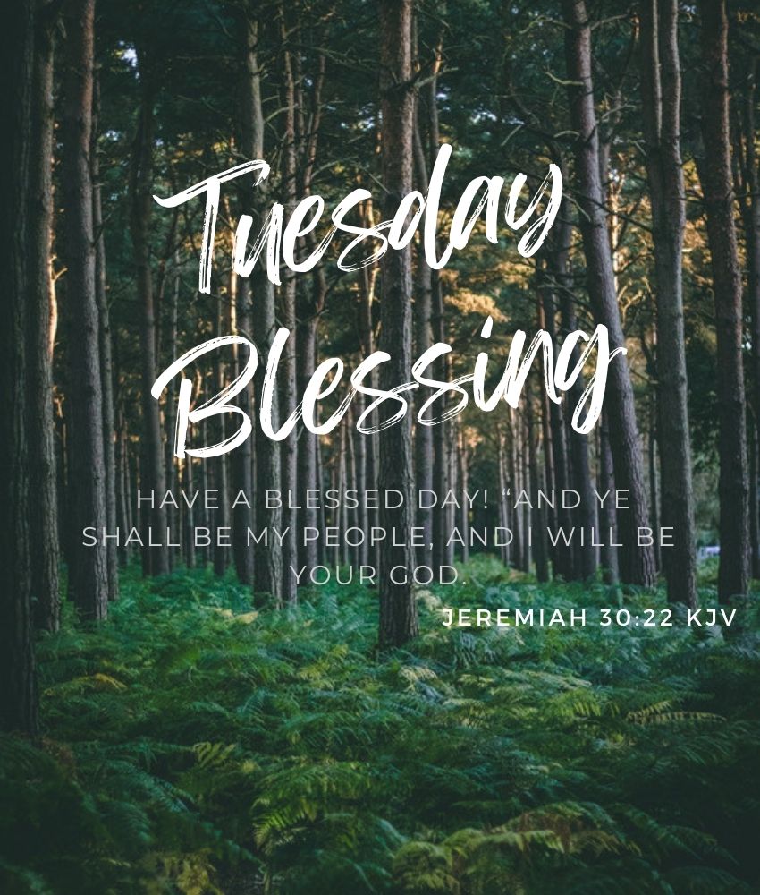 Tuesday Blessings