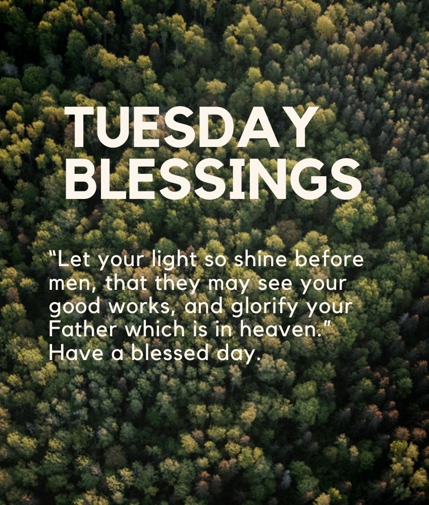 Tuesday Blessings