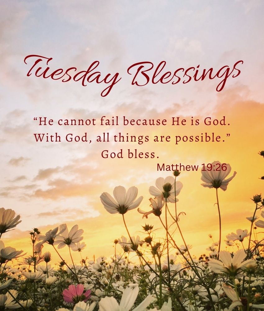 Tuesday Blessings