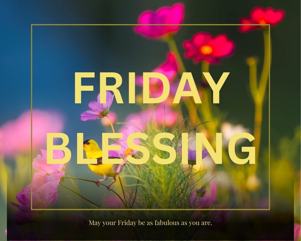 Friday Blessing 