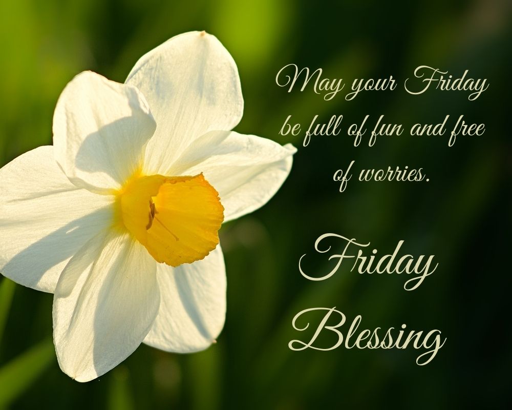 Friday Blessing 