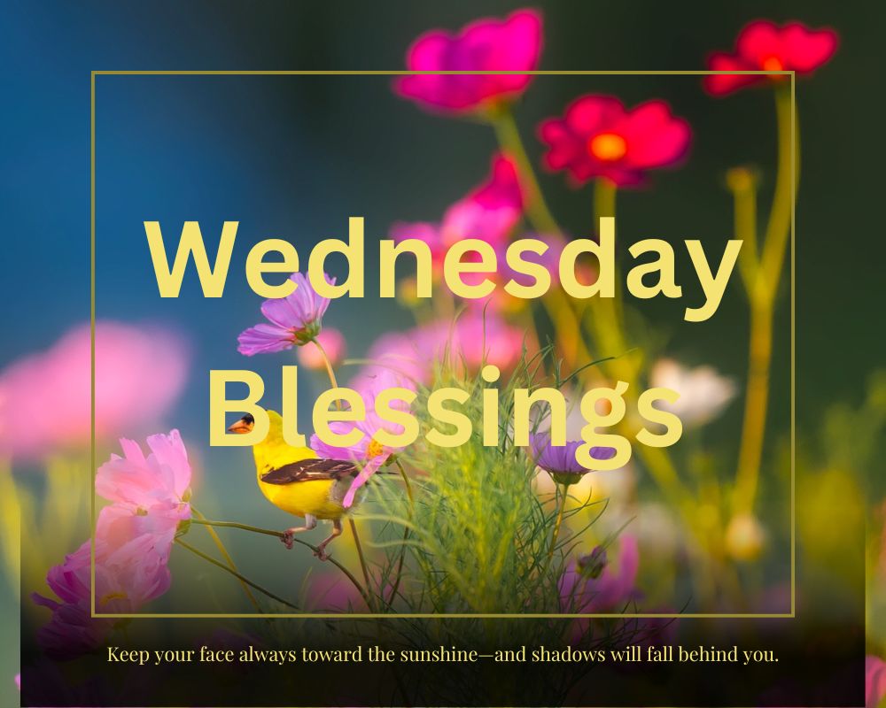 Good Morning Wednesday Blessings