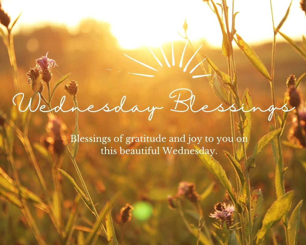 Wednesday Blessings 