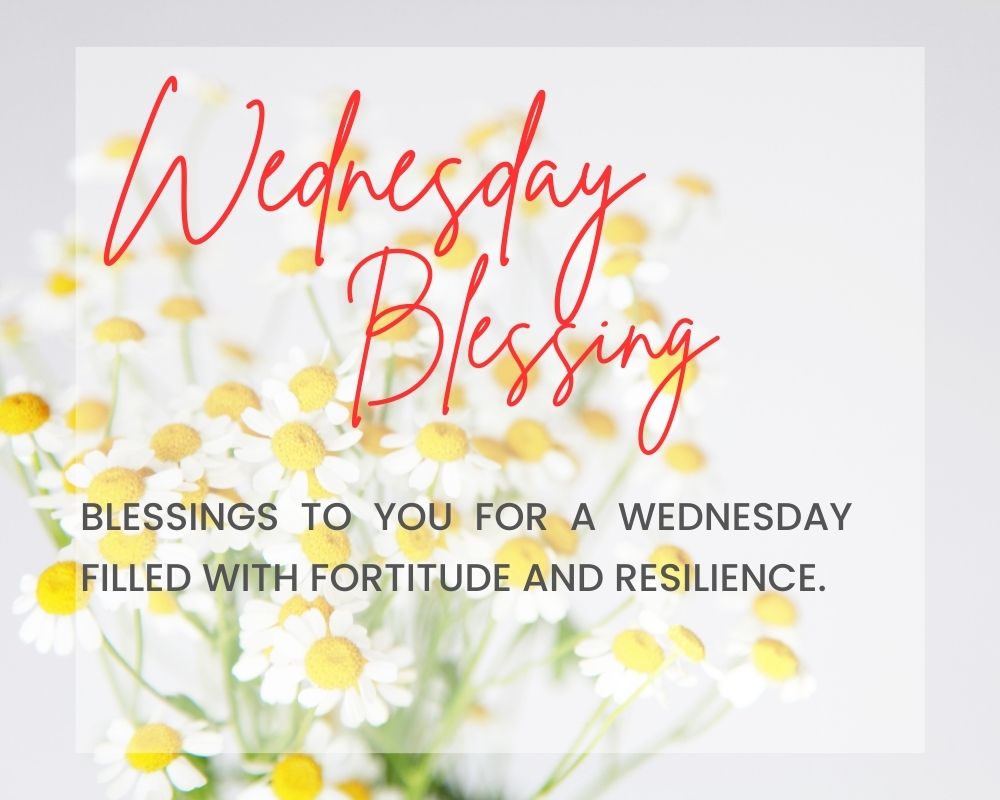 Wednesday Blessings 