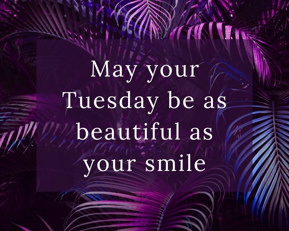 Happy Tuesday blessings