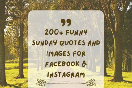 200+ Funny Sunday Quotes And Images for Facebook & Instagram