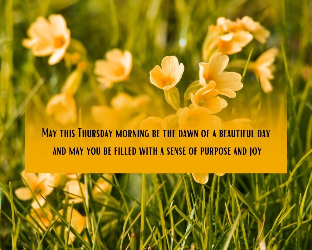 Thursday Blessings