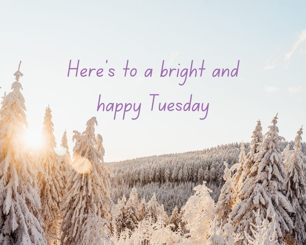 Happy Tuesday blessings