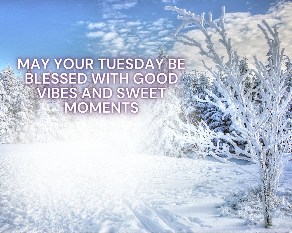 Happy Tuesday blessings