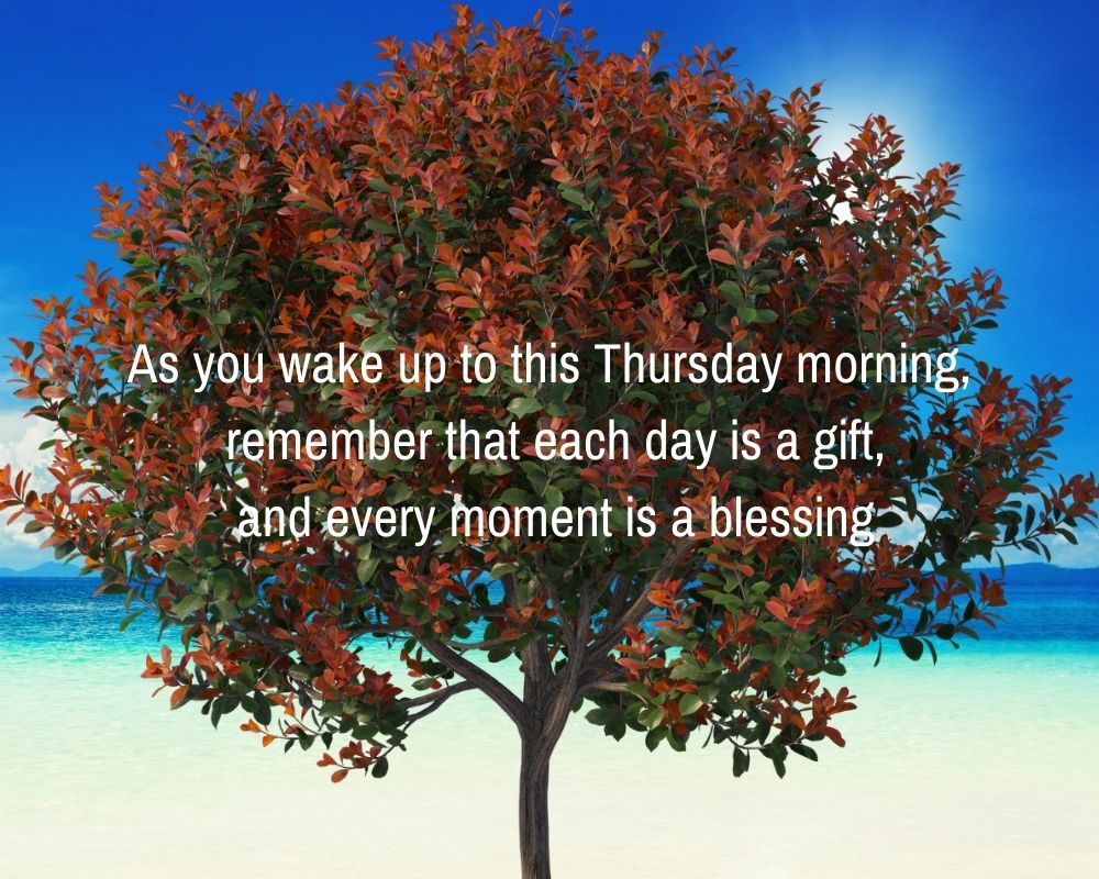 Thursday Blessings