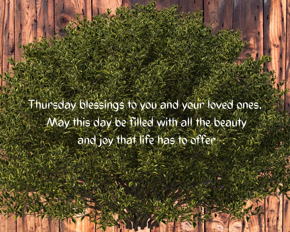 Thursday Blessings