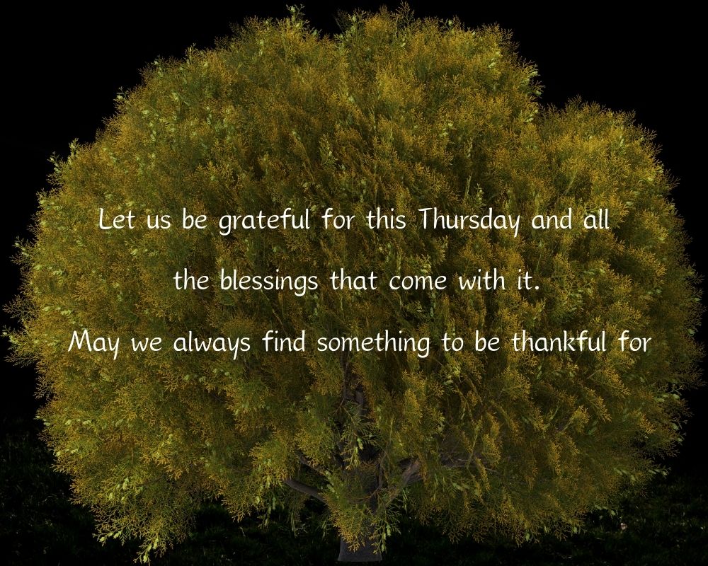 Thursday Blessings