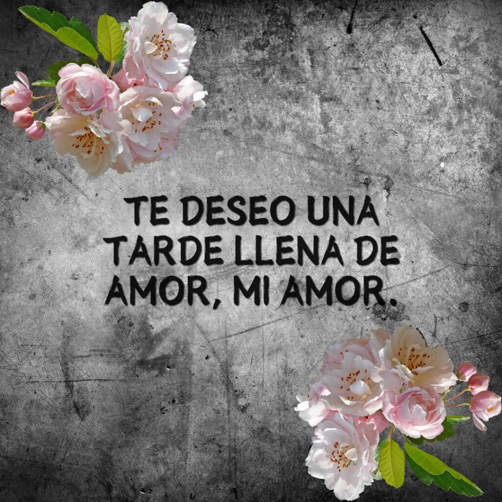 20+ Good Afternoon My Love In Spanish, Wishes, Messages, Quotes