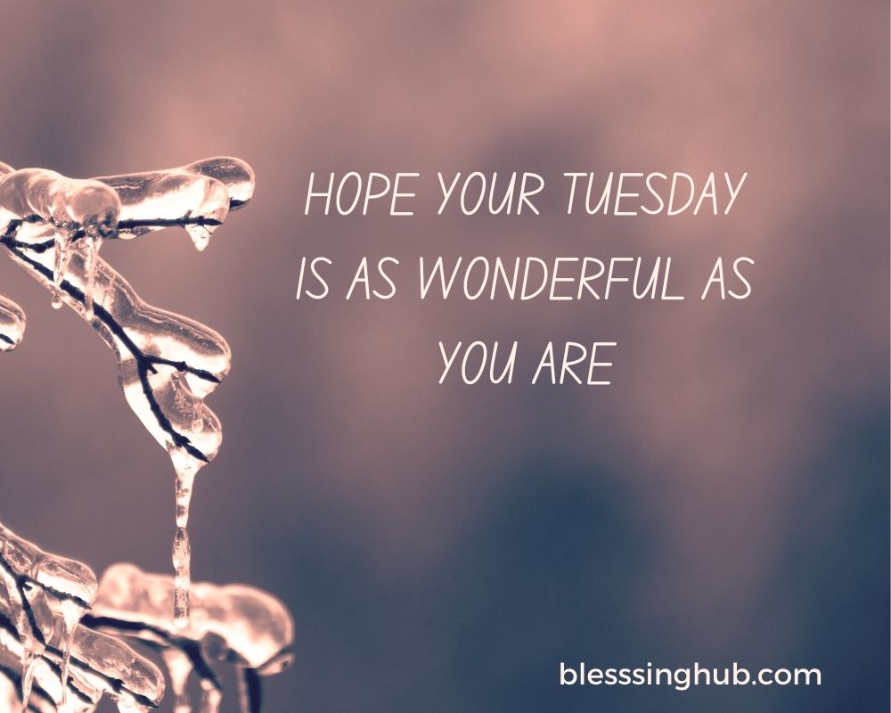 Happy Tuesday blessings