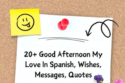 20+ Good Afternoon My Love In Spanish, Wishes, Messages, Quotes